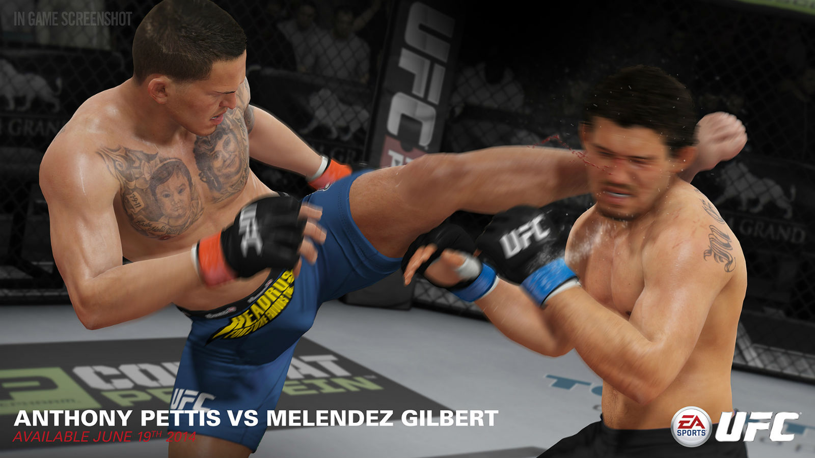 EA Sports UFC