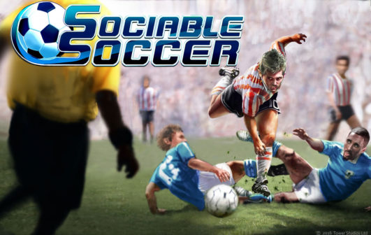 Sociable Soccer
