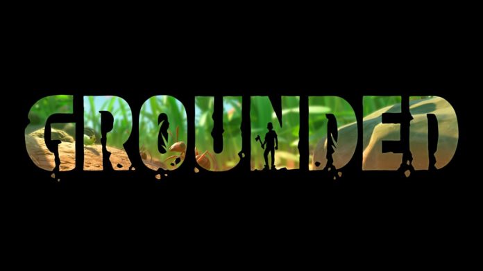 Grounded Grounded