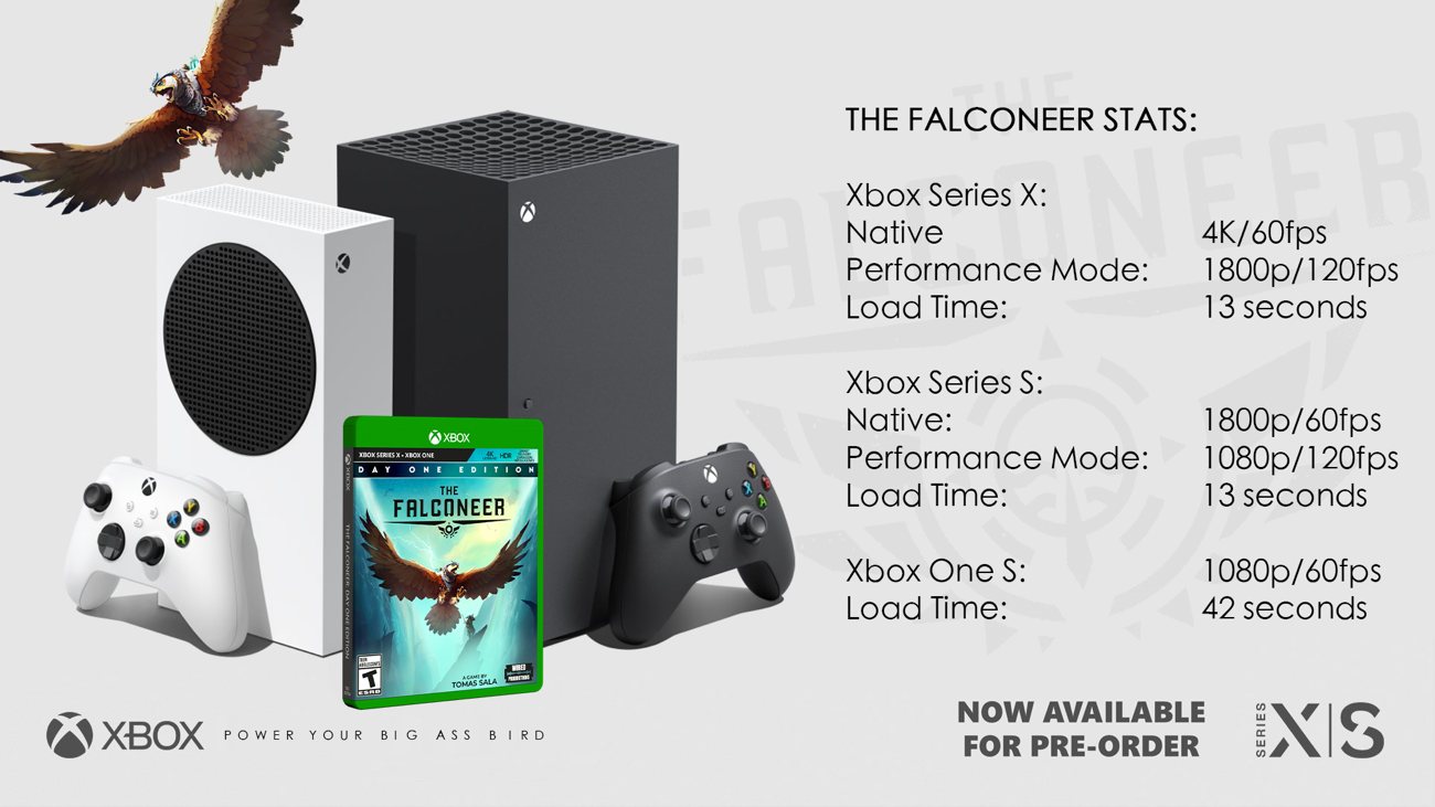 The Falconeer