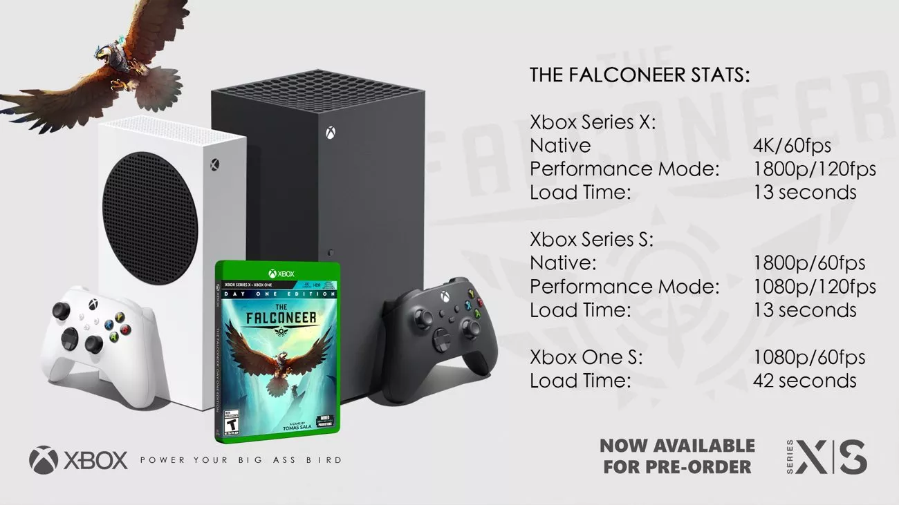 The Falconeer