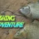 Fishing Adventure