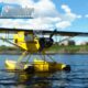 Microsoft Flight Simulator - Aviat Husky A-1C