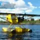 Microsoft Flight Simulator - Aviat Husky A-1C
