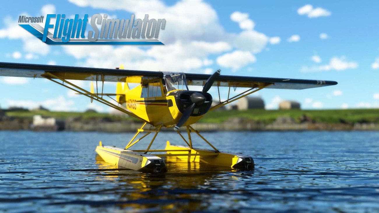 Microsoft Flight Simulator - Aviat Husky A-1C