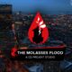 The Molasses Flood - CD PROJEKT RED