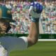 Cricket 22