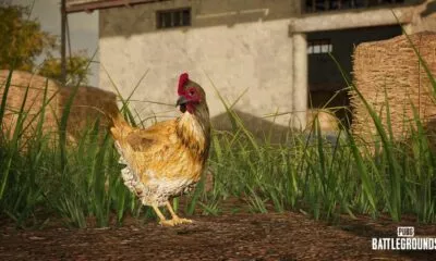 PUBG: BATTLEGROUNDS Update 14.2