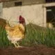 PUBG: BATTLEGROUNDS Update 14.2
