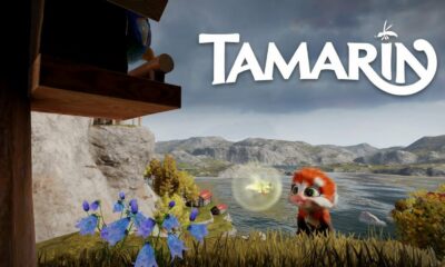 Tamarin