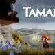 Tamarin