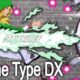 Game Type DX