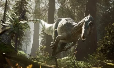 The Lost Wild