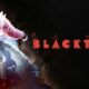 Blacktail