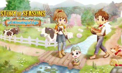 Story of Seasons: A Wonderful Life