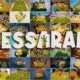 Chessarama