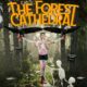 The Forest Cathedral