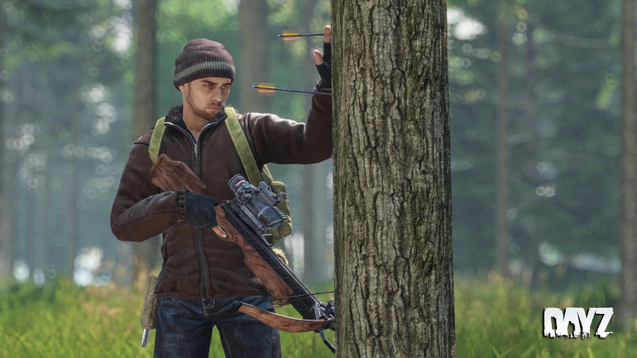 DayZ