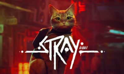 Stray