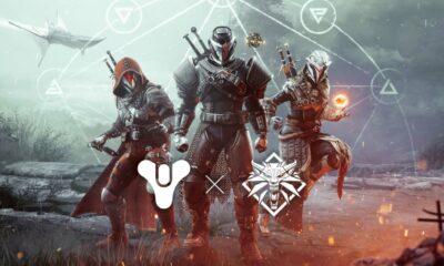 Destiny 2 - The Witcher