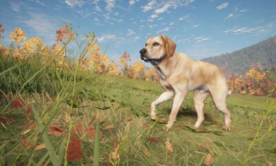 theHunter: Call of the Wild - Labrador Retriever DLC