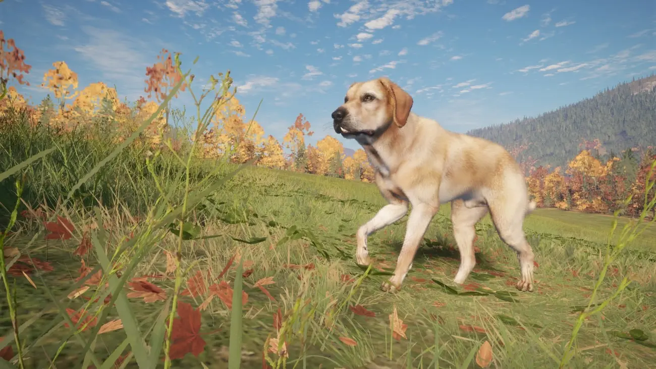 theHunter: Call of the Wild - Labrador Retriever DLC
