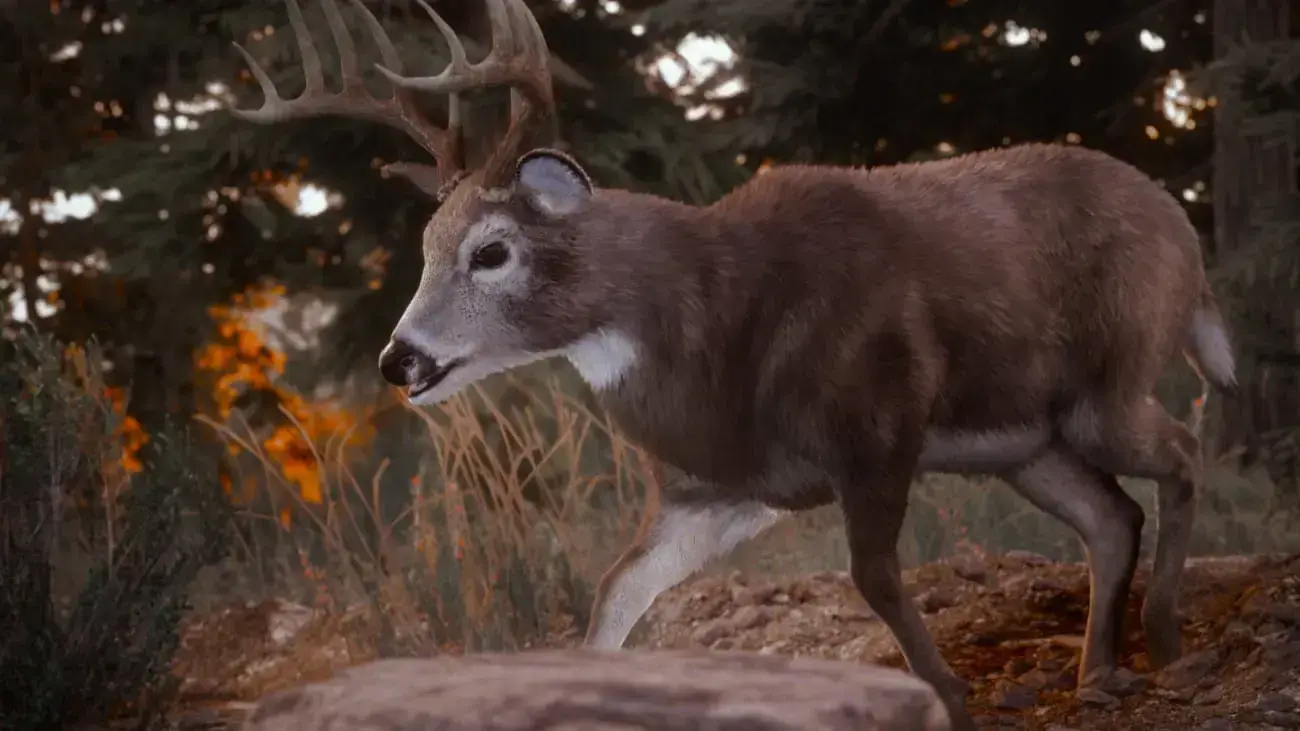 Hunting Simulator 3