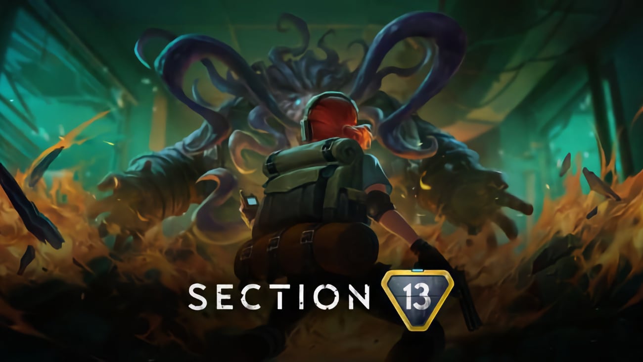 Section 13