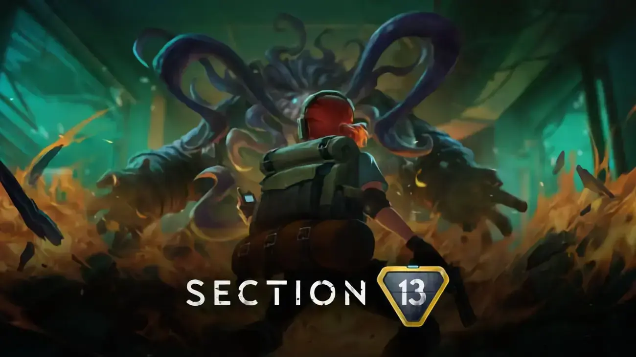 Section 13