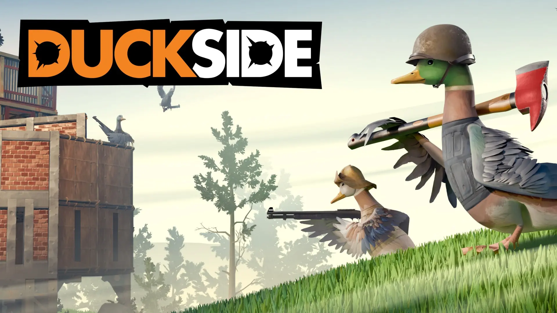 DUCKSIDE