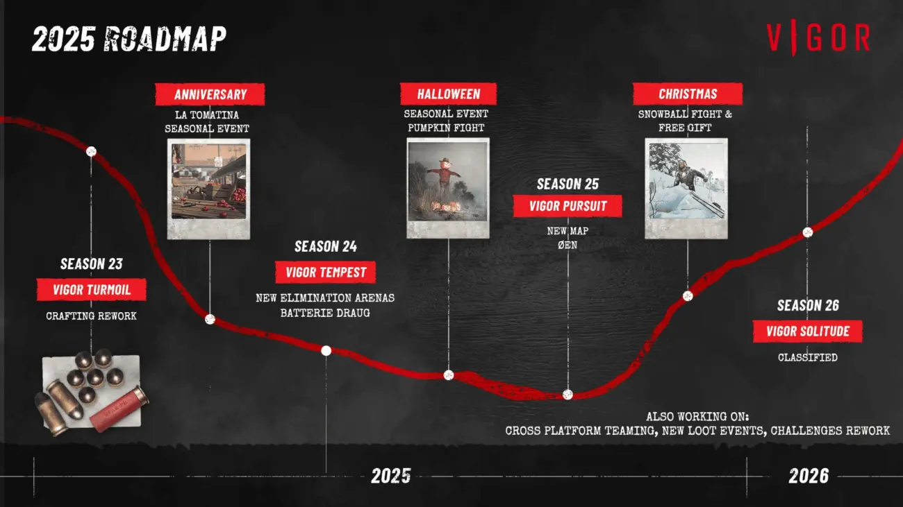 Vigor Roadmap 2025