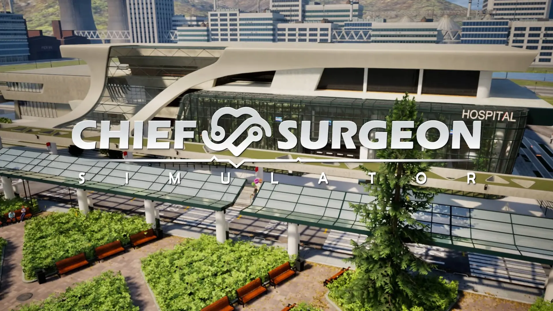 Chief Surgeon Simulator