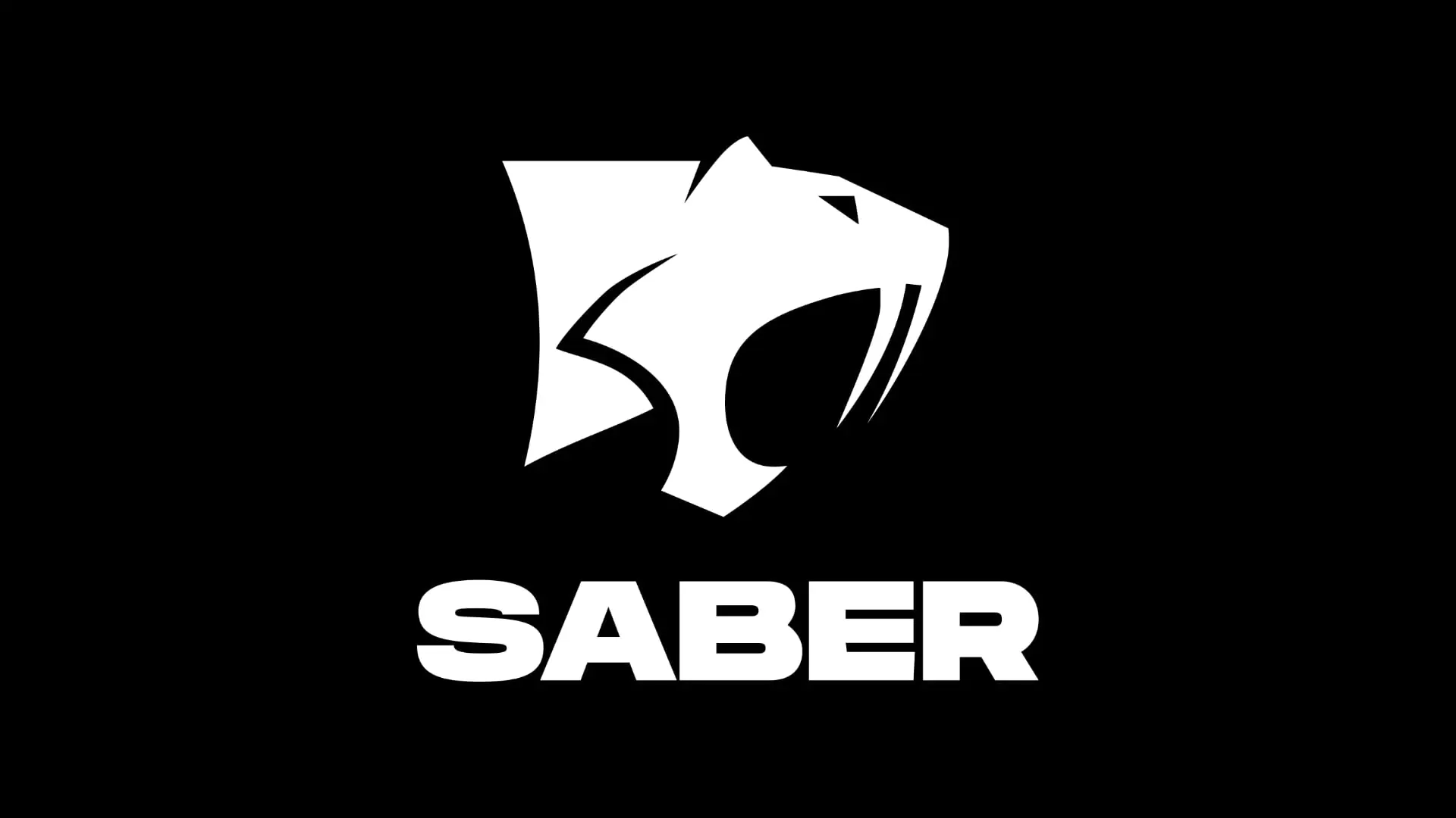 Saber Interactive