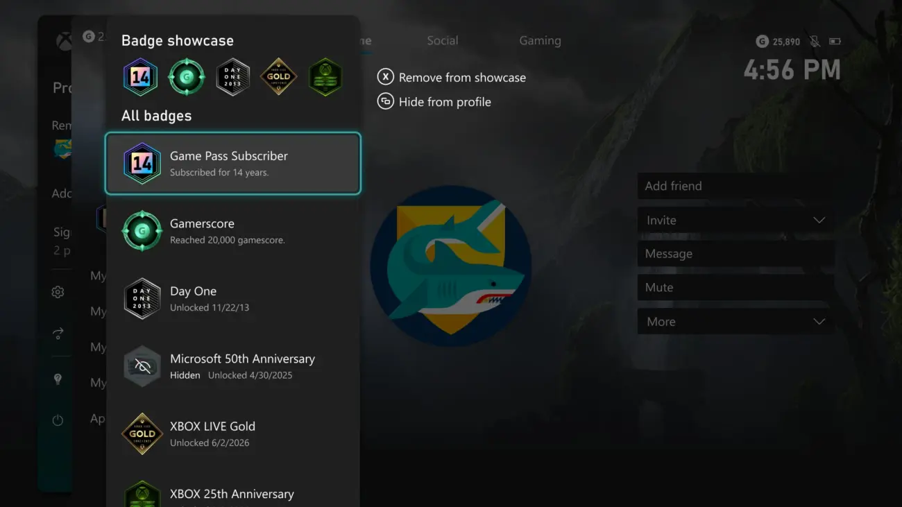 XBOX Badges